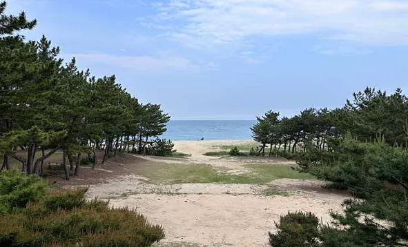 월송정