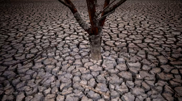 스페인 최악의 가뭄
