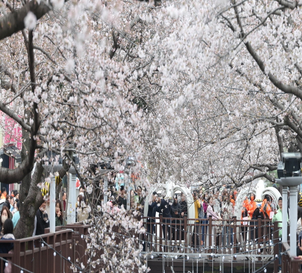 진해 군항제 벚꽃축제 안내 (2023 최신버전) 66
