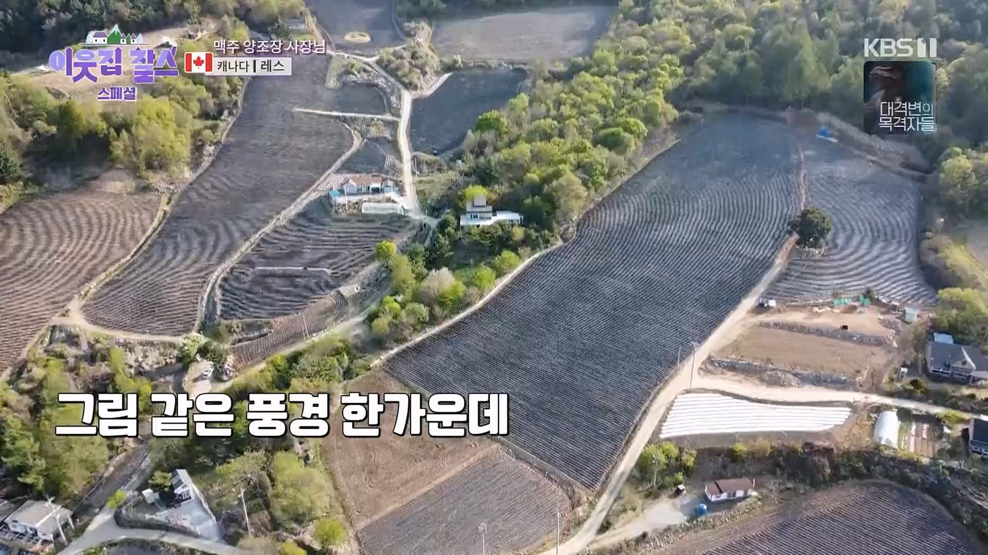 이웃집 찰스.E378.230307p.H264-F1RST.mp4_20230308_202223.110.jpg
