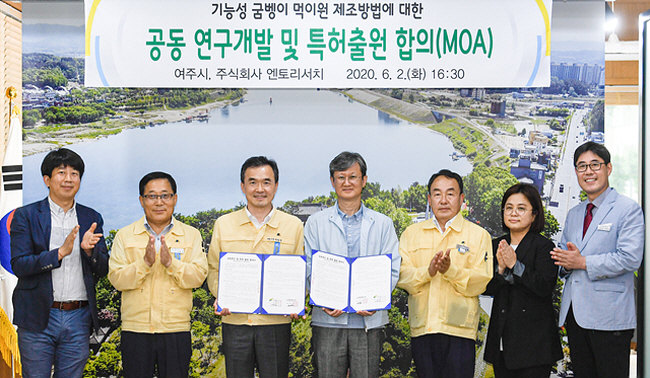엔토리 이미지