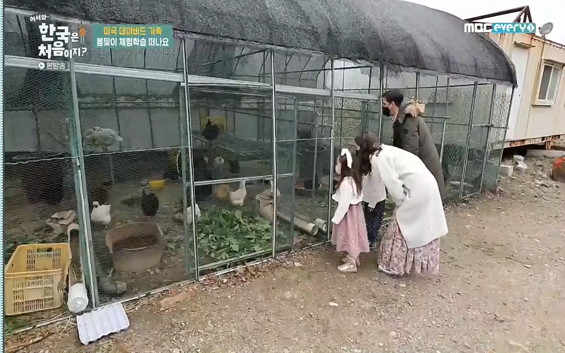 어서와 한국은 처음이지 시즌2.E206.220415p-NEXT.mp4_20220415_181242.656.jpg
