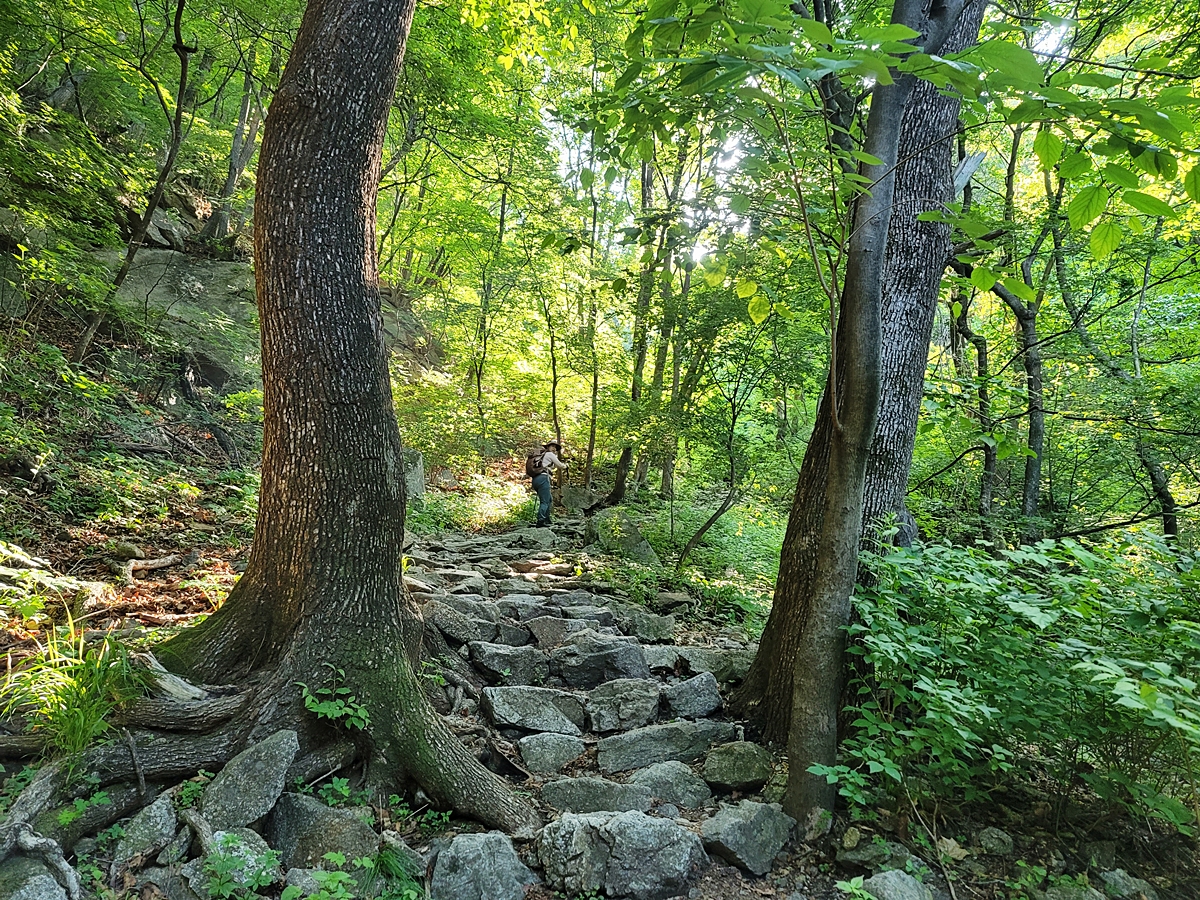 소백산국립공원 희방제2주차장 이미지