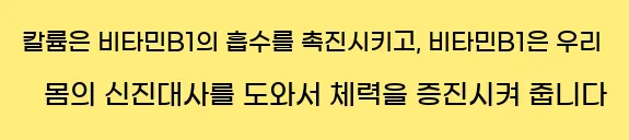  칼륨은 비타민B1의 흡수를 촉진시키고, 비타민B1은 우리 몸의 신진대사를 도와서 체력을 증진시켜 줍니다