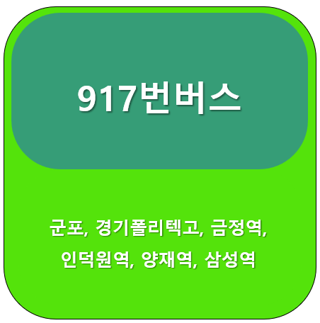 917번버스 썸네일