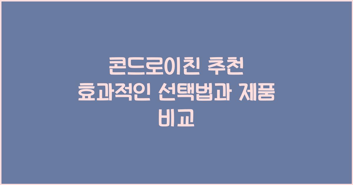 콘드로이친 추천
