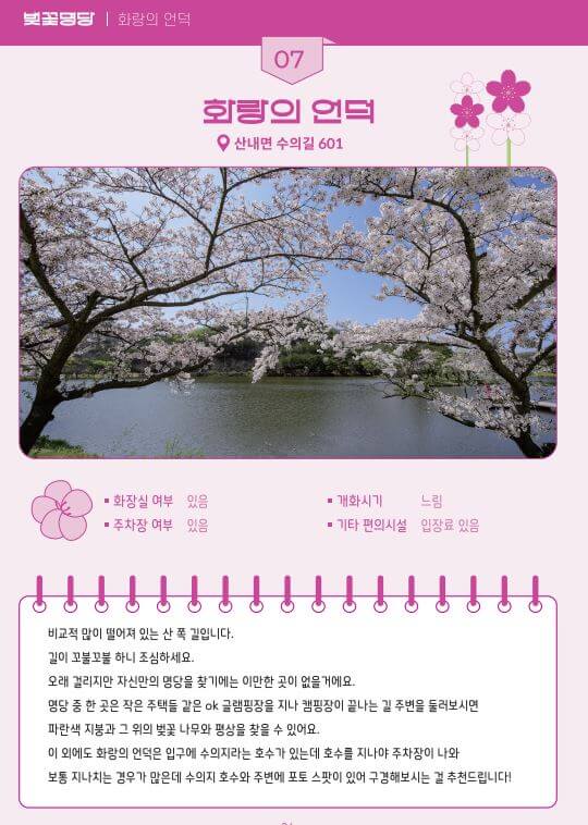 벚꽃-명당-화랑의-언덕