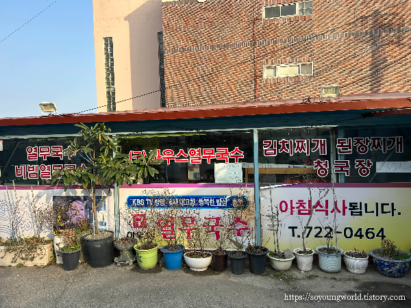 (부산 기장식당) 부산집 열무국수 1