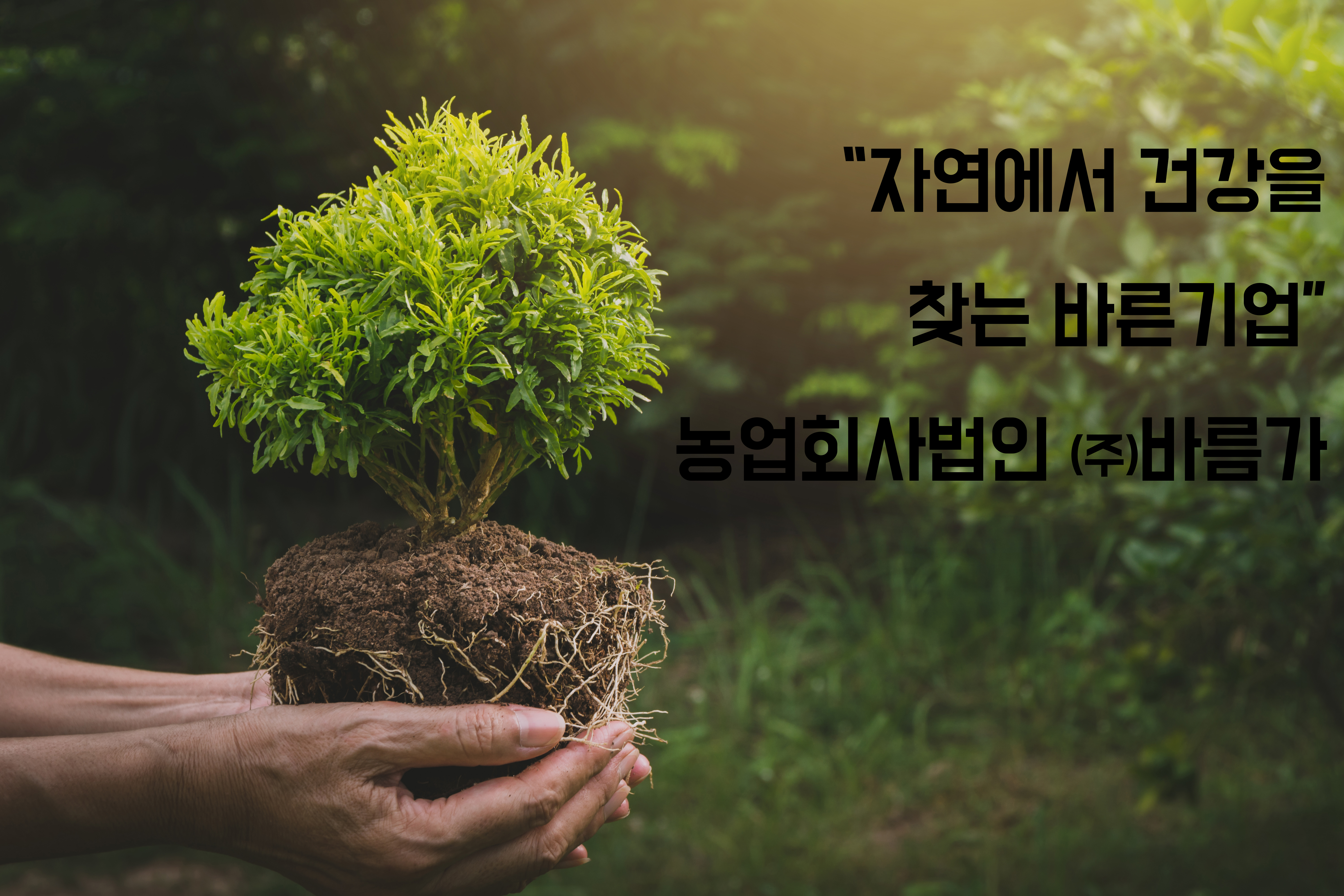 농업회사법인(주)우리식품 이미지