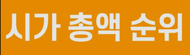  전세계 시가총액  순위