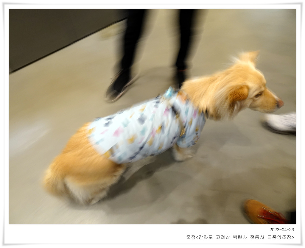 금풍식당 이미지