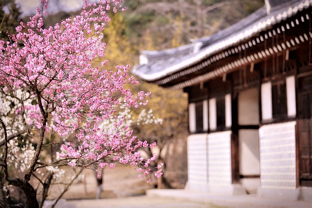 이용 예절