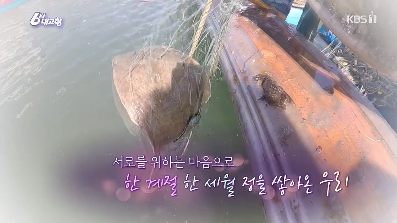 6시 내고향.E7744.230314p.H264-F1RST.mp4_20230314_175019.560.jpg