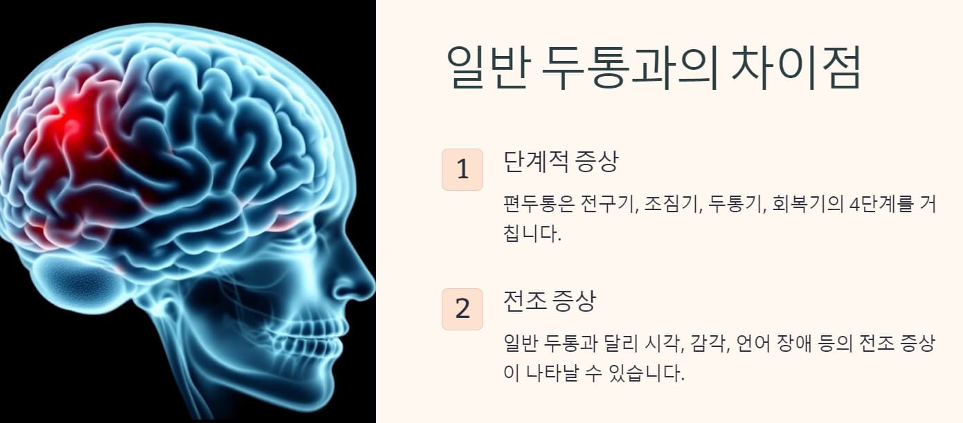 편두통 차이점