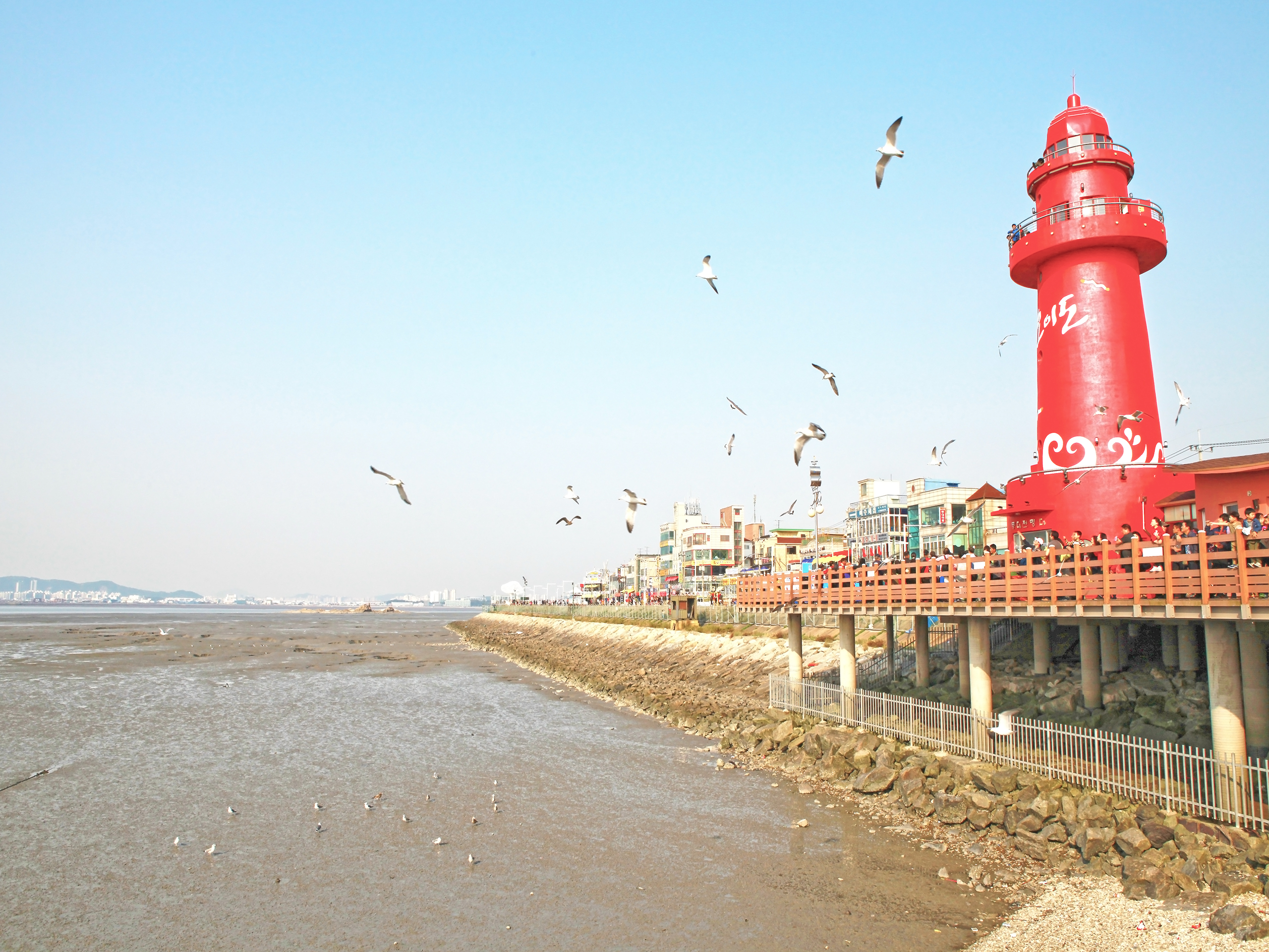 오이도 6