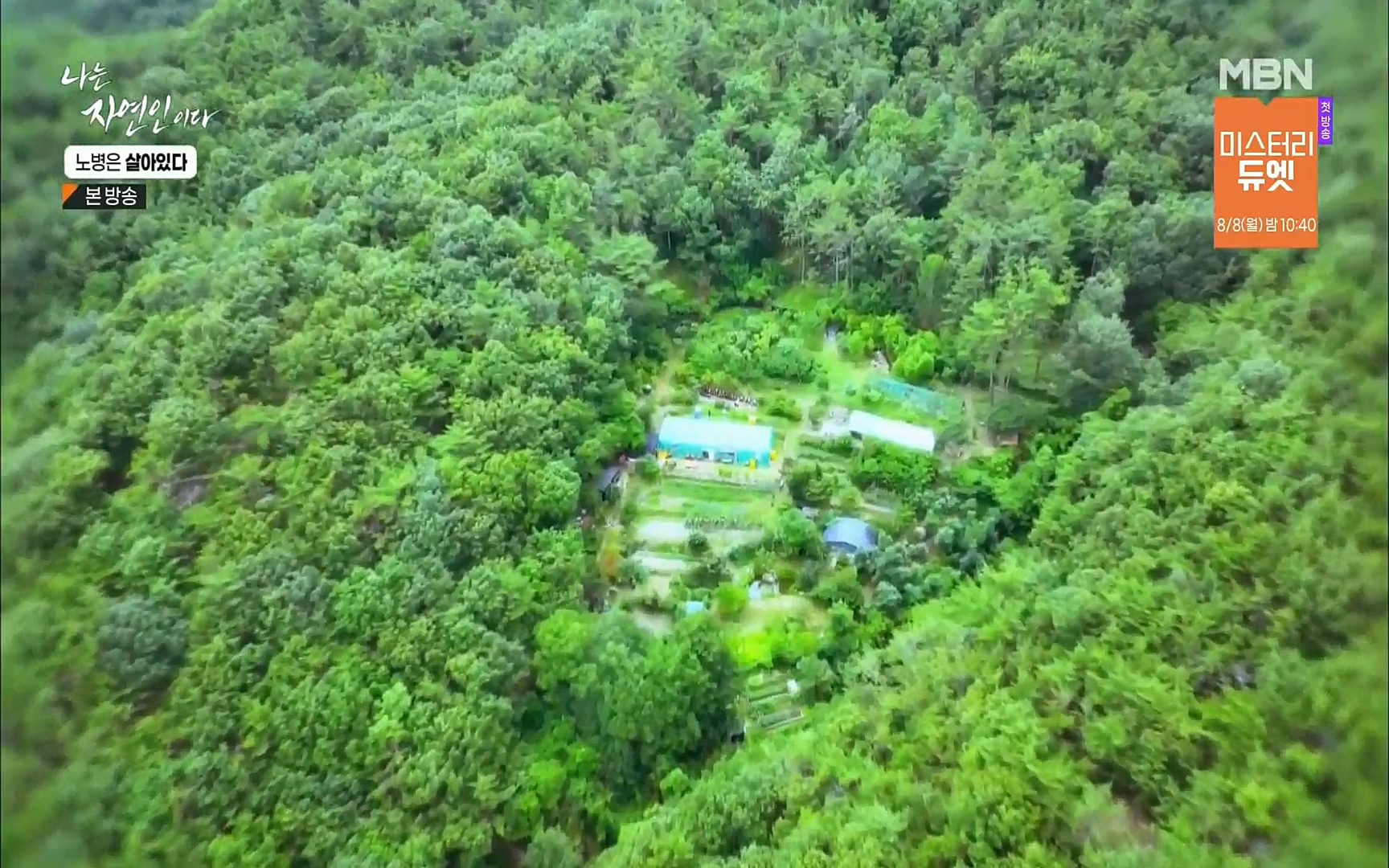 나는 자연인이다.E512.220727p.H264-F1RST.mp4_20220728_200900.694.jpg