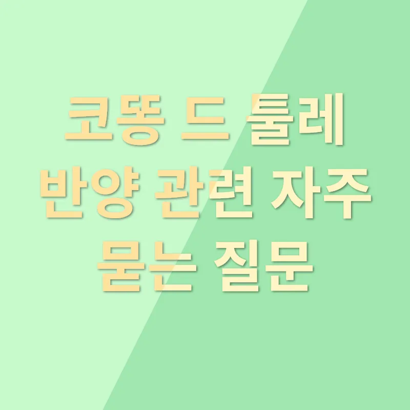 코똥 드 툴레 반양_4
