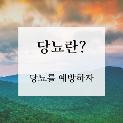  당뇨를 예방하는 확실한 방법