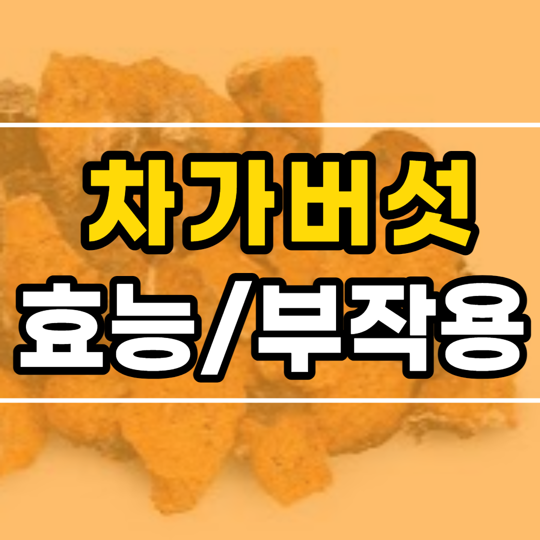  차가버섯 효능 및 부작용, 차가버섯 먹는법