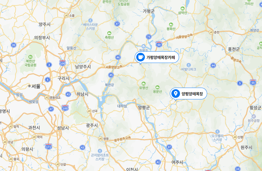  경기도 양떼목장, 양평 양떼목장, 가평 양떼목장, 서울 근교 양떼목장