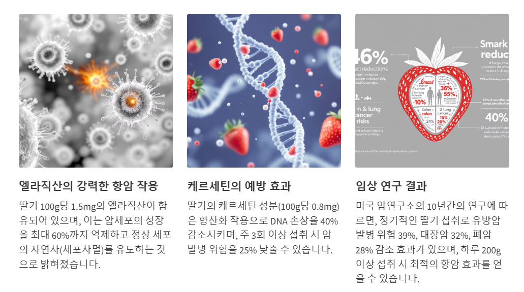 항암 효과를 지닌 딸기