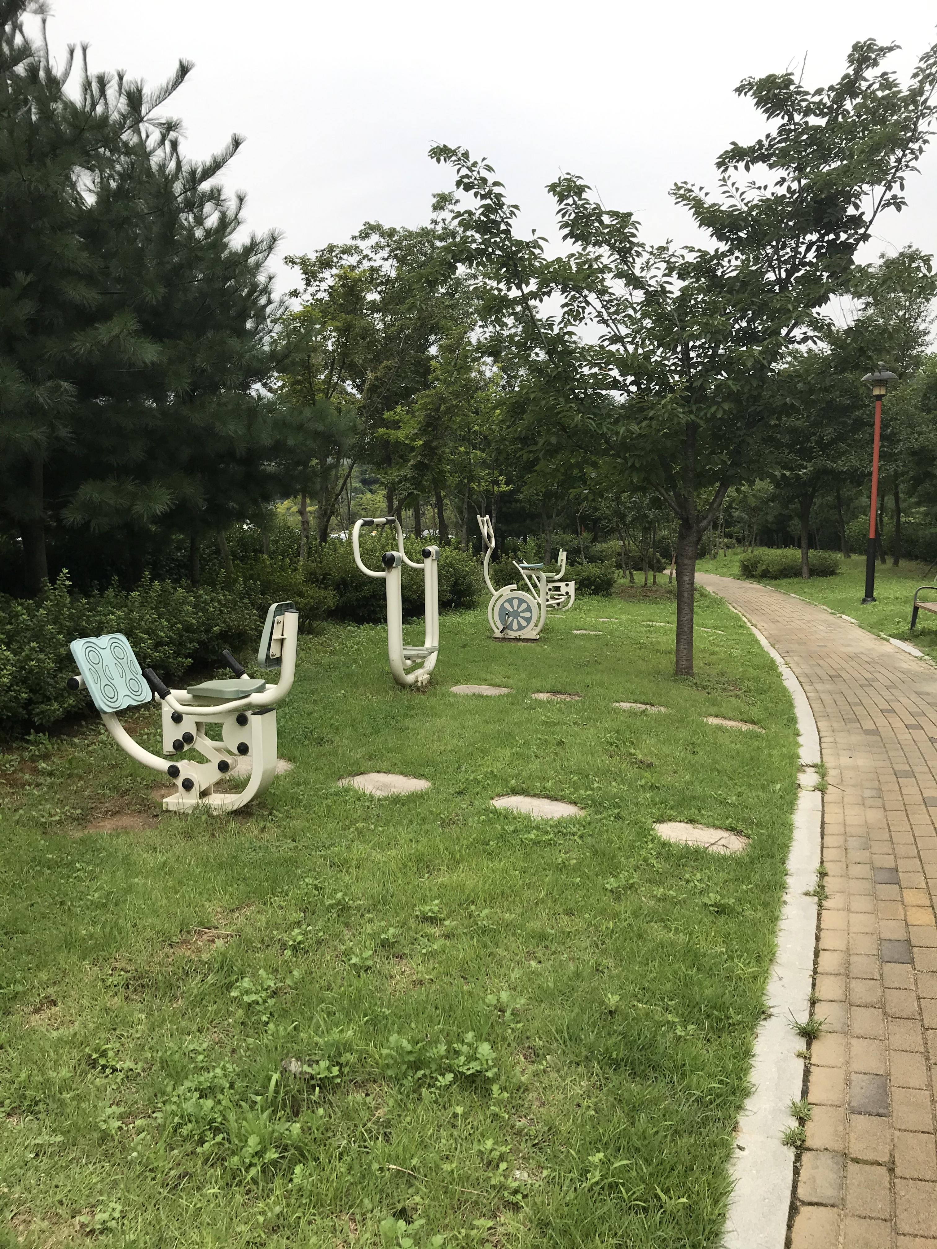  코로나 집콕 챌린지 하는 법
