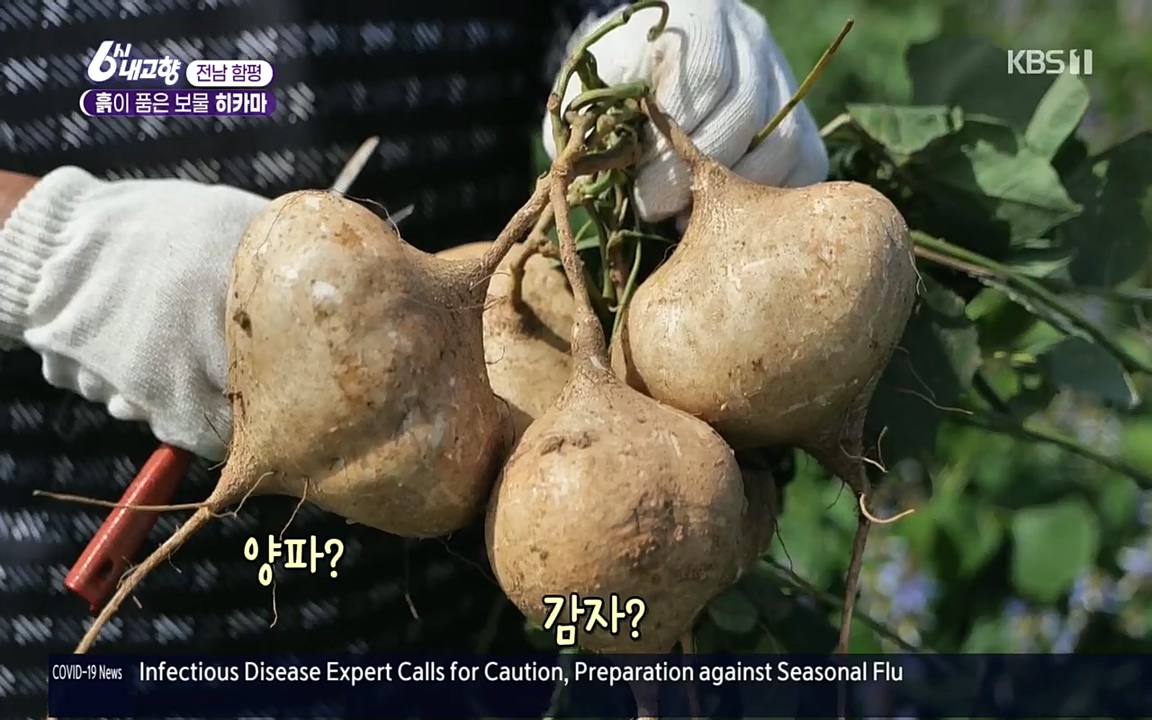 6시 내고향.E7617.220915p.H264-F1RST.mp4_20220916_204620.878.jpg