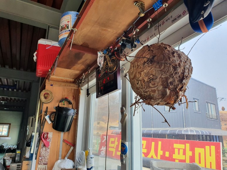 중고캠핑카 겨울 차박하기 좋은 캠핑카 중고카운티 매입기! 21