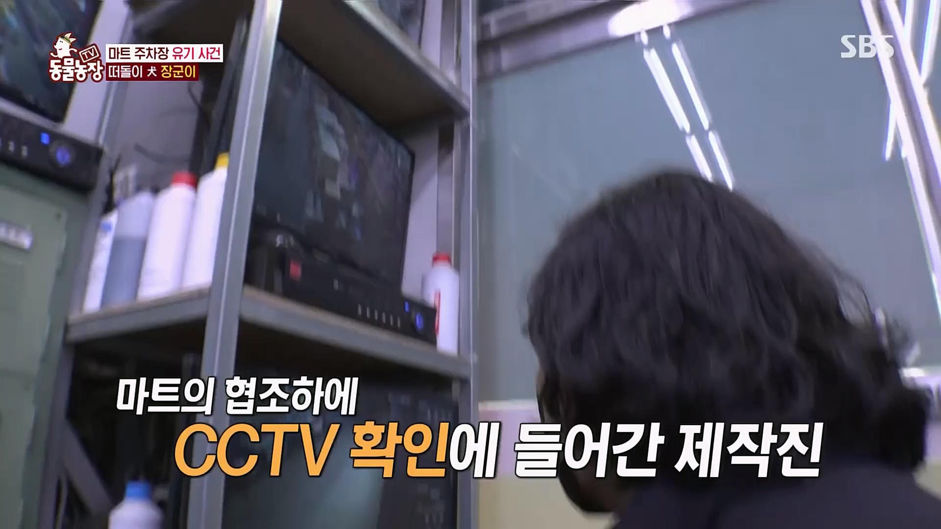 TV 동물농장.E1115.230409p.H264-F1RST.mp4_20230409_173035.105.jpg