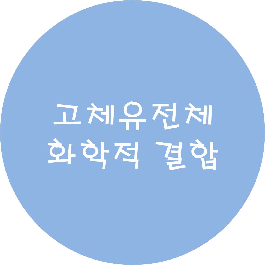  고체유전체 내의 화학적 결합
