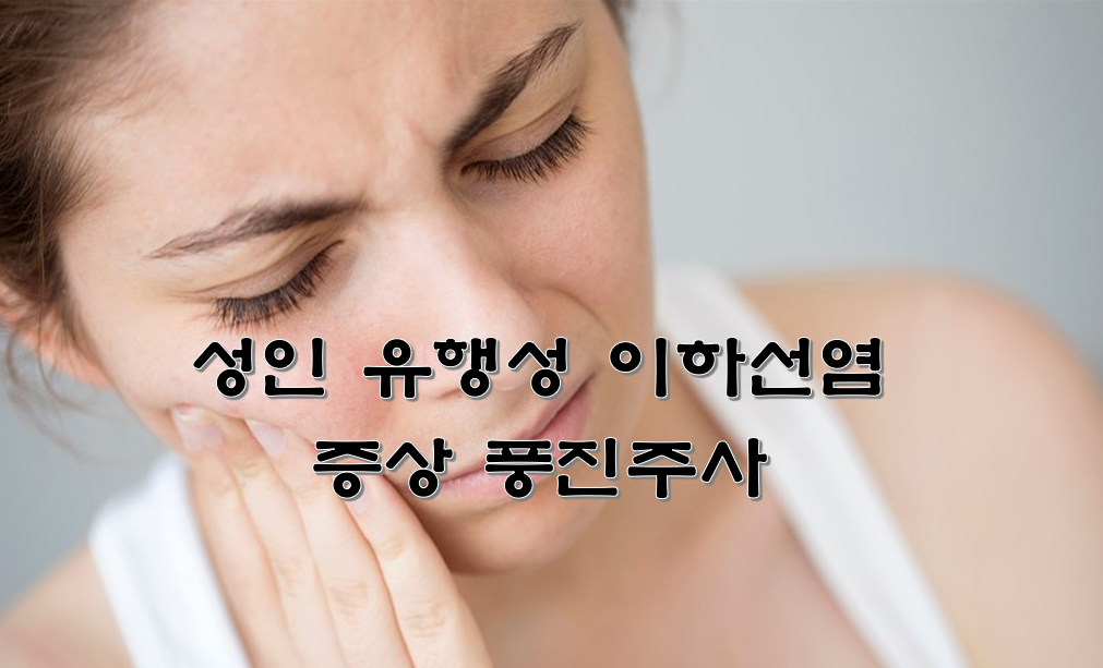  성인 유행성 이하선염 증상 풍진주사