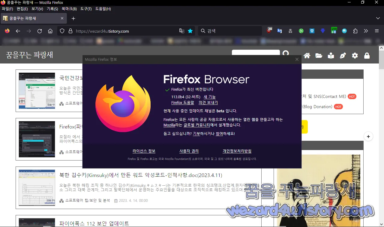 파이어폭스 113.0b4