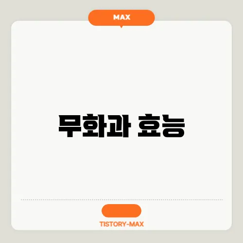 무화과 효능