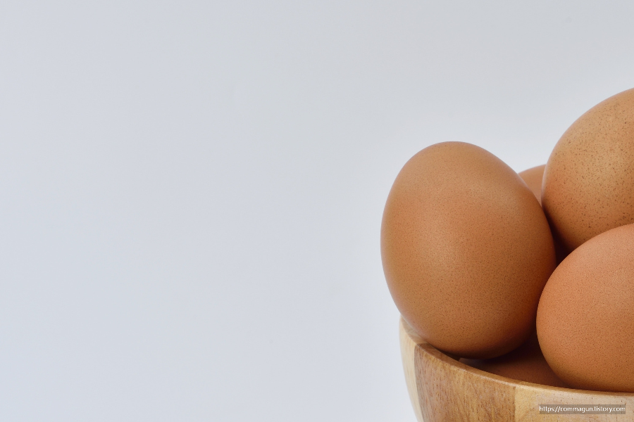 눈건강에 좋은 음식 5가지를 소개해드립니다.계란 달걀