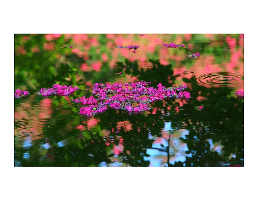반영