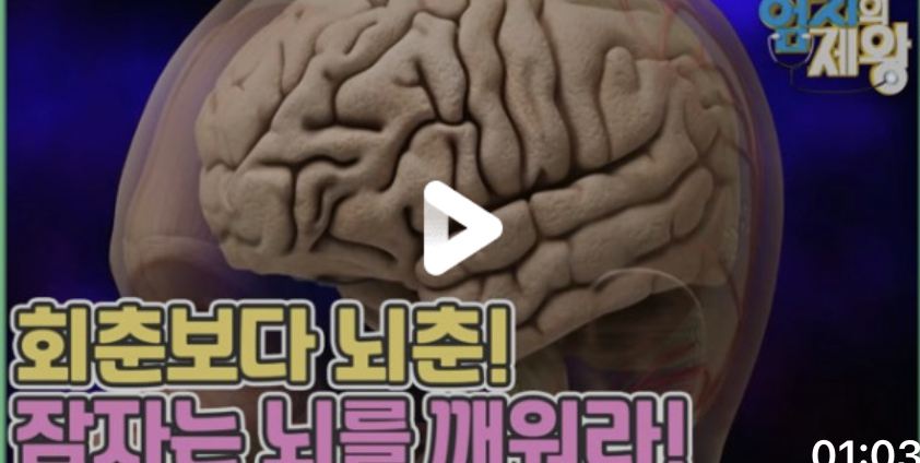  포스파티딜세린 효능 치매예방 뇌세포보호식품 포스퍼티딜세린 두뇌영양제 추천 기억력저하예방두뇌영양제추천식품 부작용  엄지의제왕 회춘보다 뇌춘 잠자는 뇌를워라  527회 0228방송