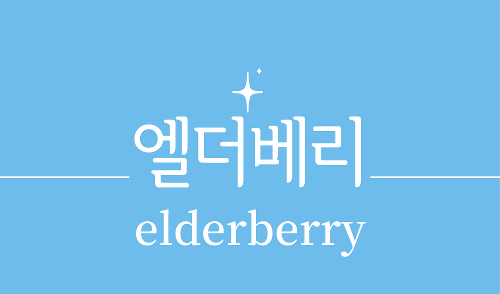 &#39;엘더베리(elderberry)&#39;