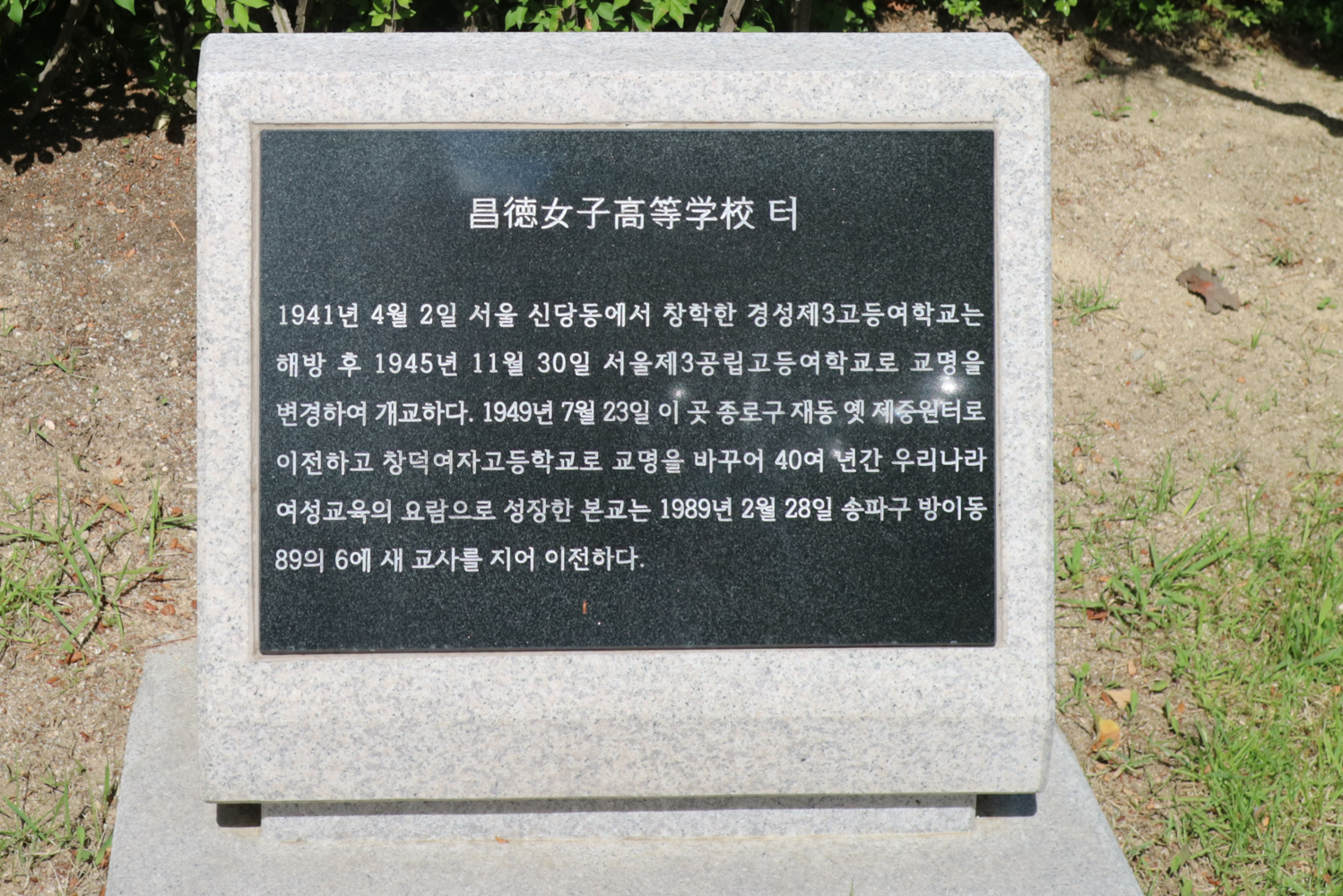 천연기념물 8호 재동 백송
