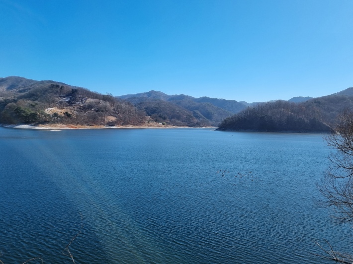 대청호