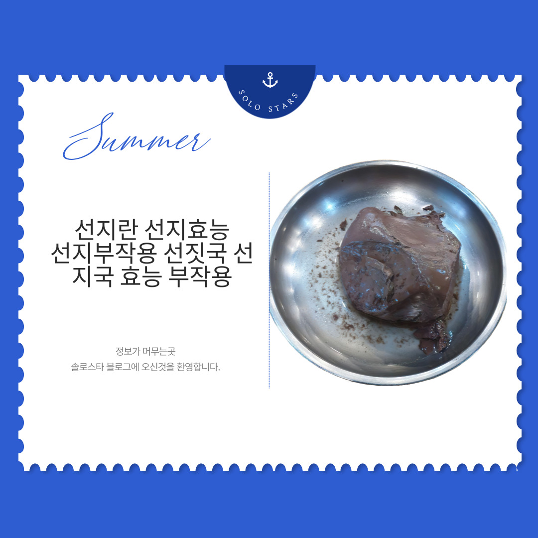 선지사진