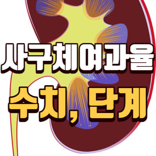  사구체 여과율 수치와 단계 정리 (신장 투석,이식은 언제부터?)