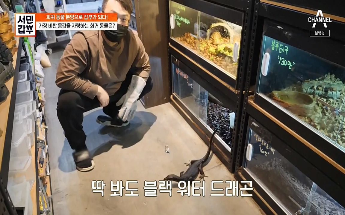 서민 갑부.E381.220431p-NEXT.mp4_20220501_180708.464.jpg