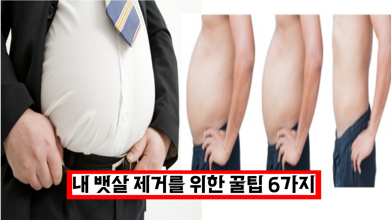  전문가가 이야기하는 성공적인 내 뱃살 제거를 위한 6가지 꿀팁