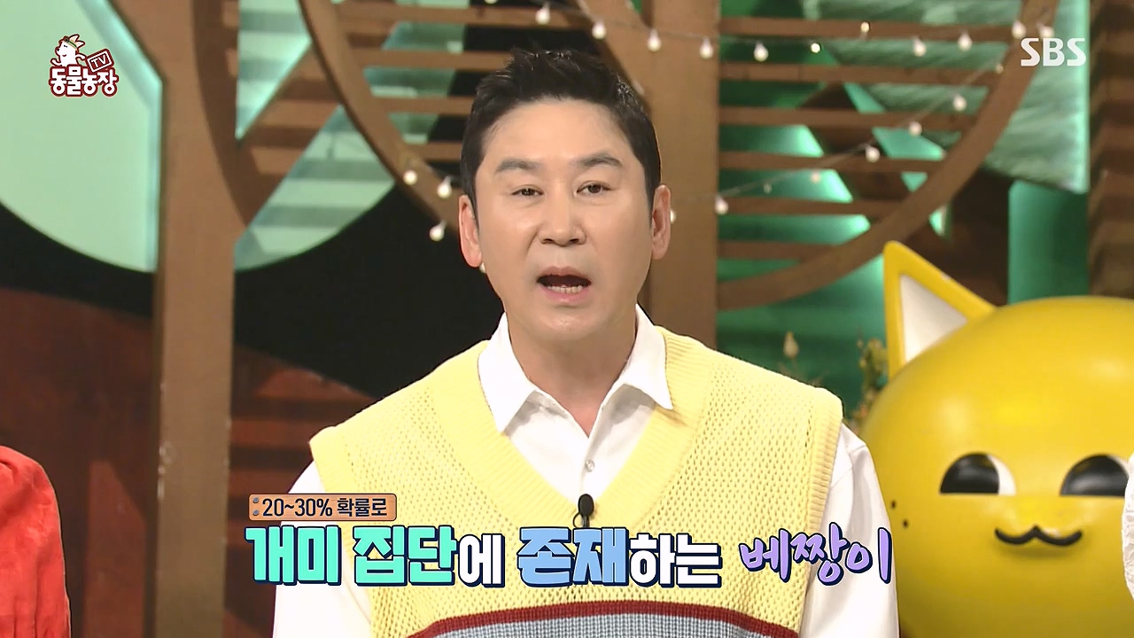TV 동물농장.E1187.240902p-NEXT.mp4_20240901_155444.339.jpg
