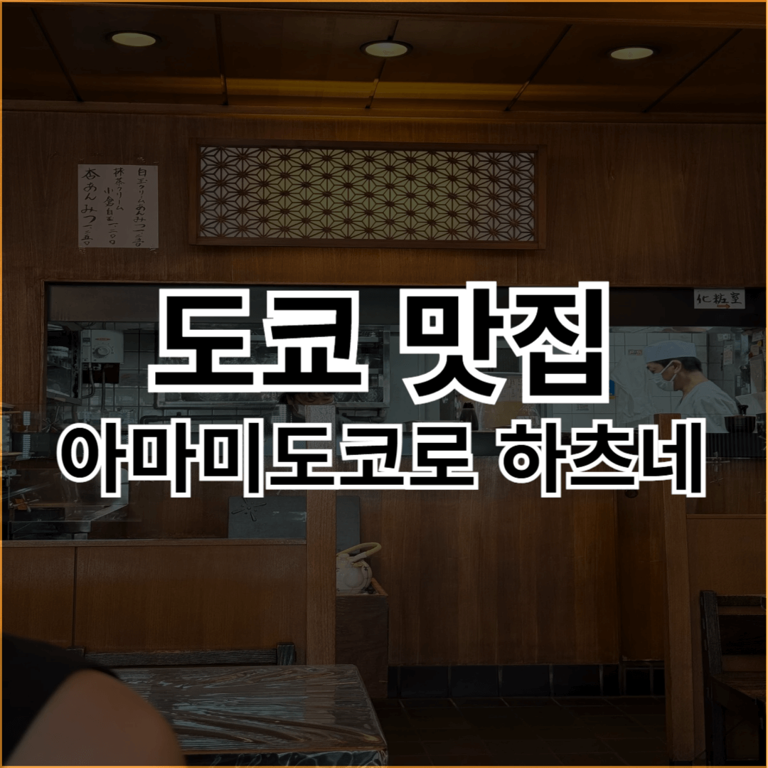 도쿄_맛집_아마미도코로_하츠네_썸네일