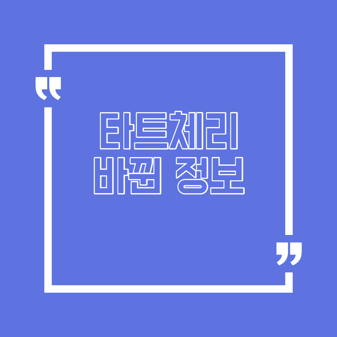  타트 체리 바뀐 정보
