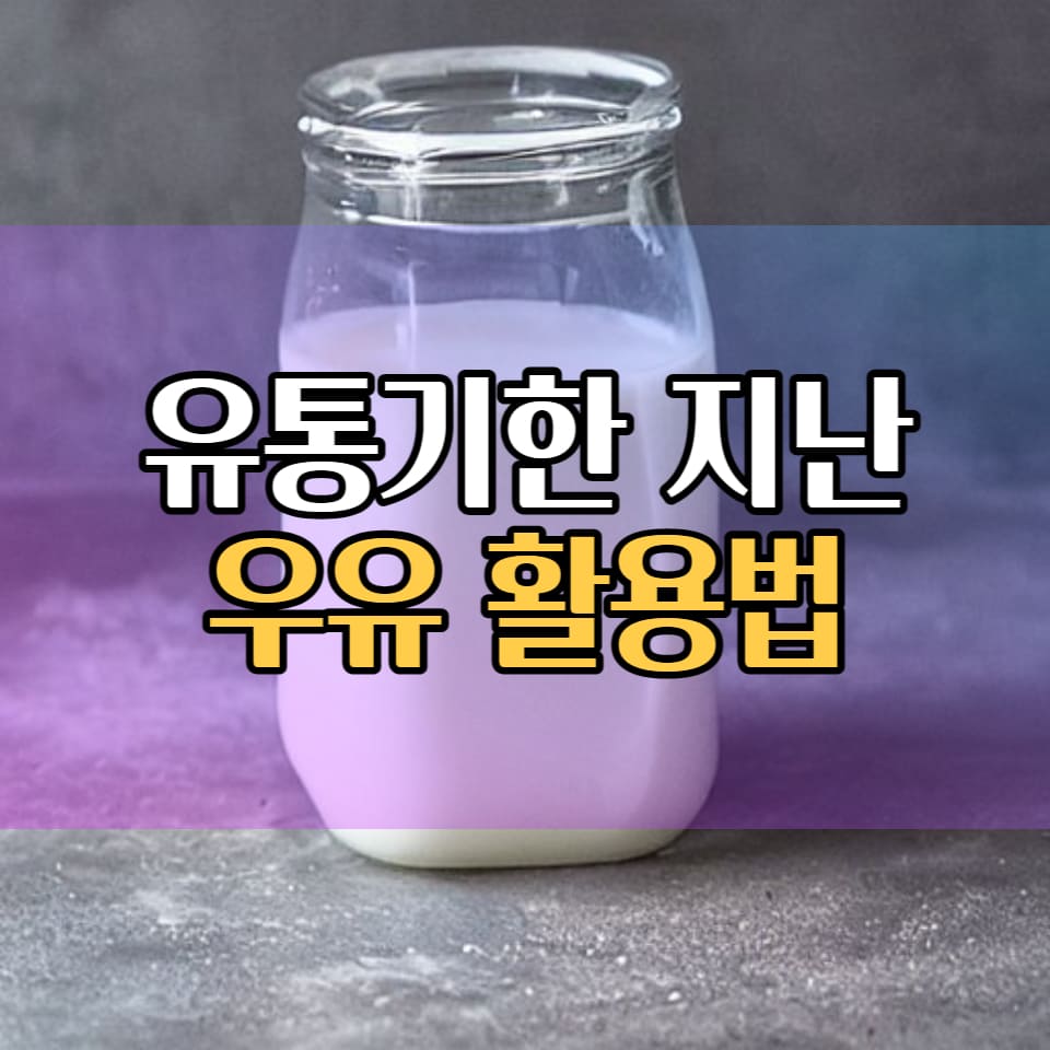 유통기한 지난 우유 사용 썸네일