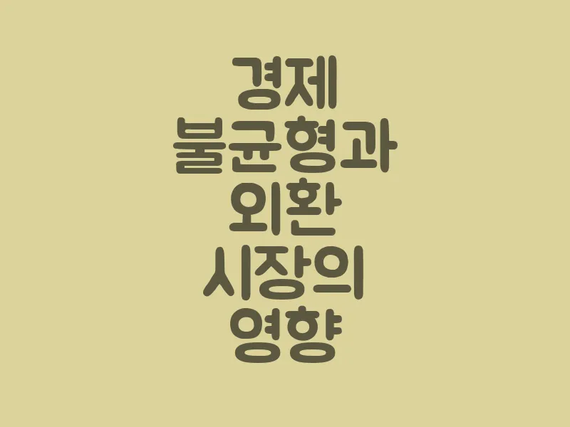 경제 불균형과 외환 시장의 영향
