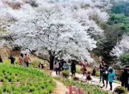 서대문-안산 자락길 1