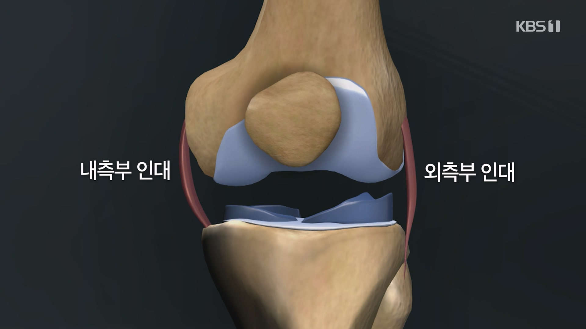 생로병사의 비밀.E873.230607p-NEXT.mp4_20230608_202202.459.jpg